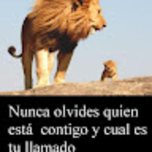 Meet your Posher, Meybel